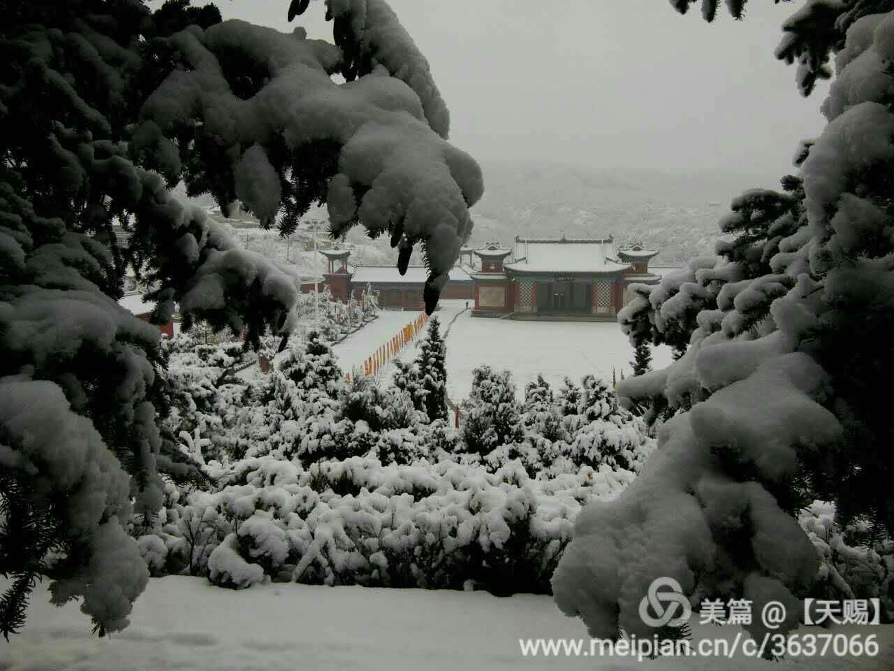 webwxgetmsgimg (6).jpg