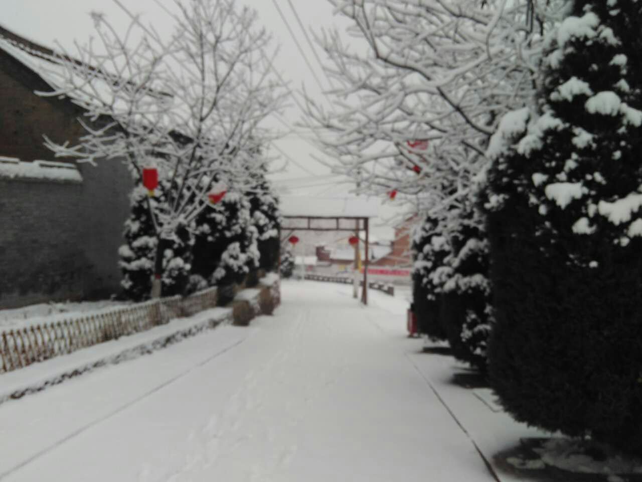 webwxgetmsgimg (7).jpg