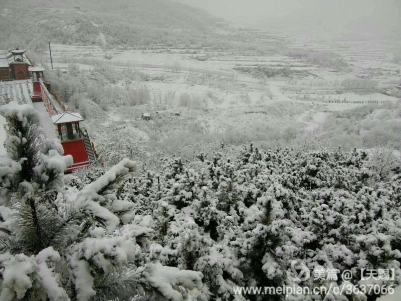 webwxgetmsgimg (25).jpg