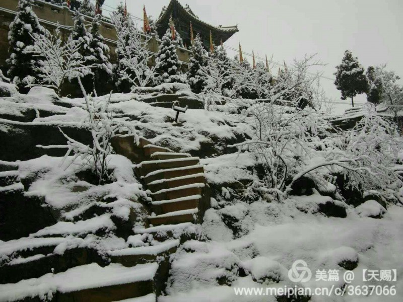 webwxgetmsgimg (5).jpg