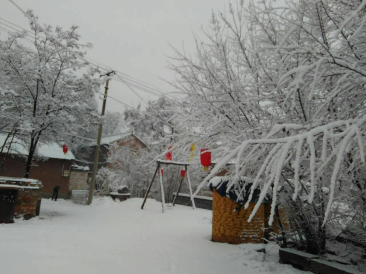 webwxgetmsgimg (5).jpg