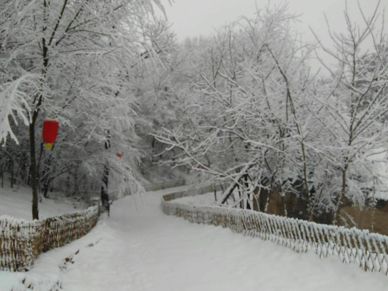 webwxgetmsgimg (10).jpg