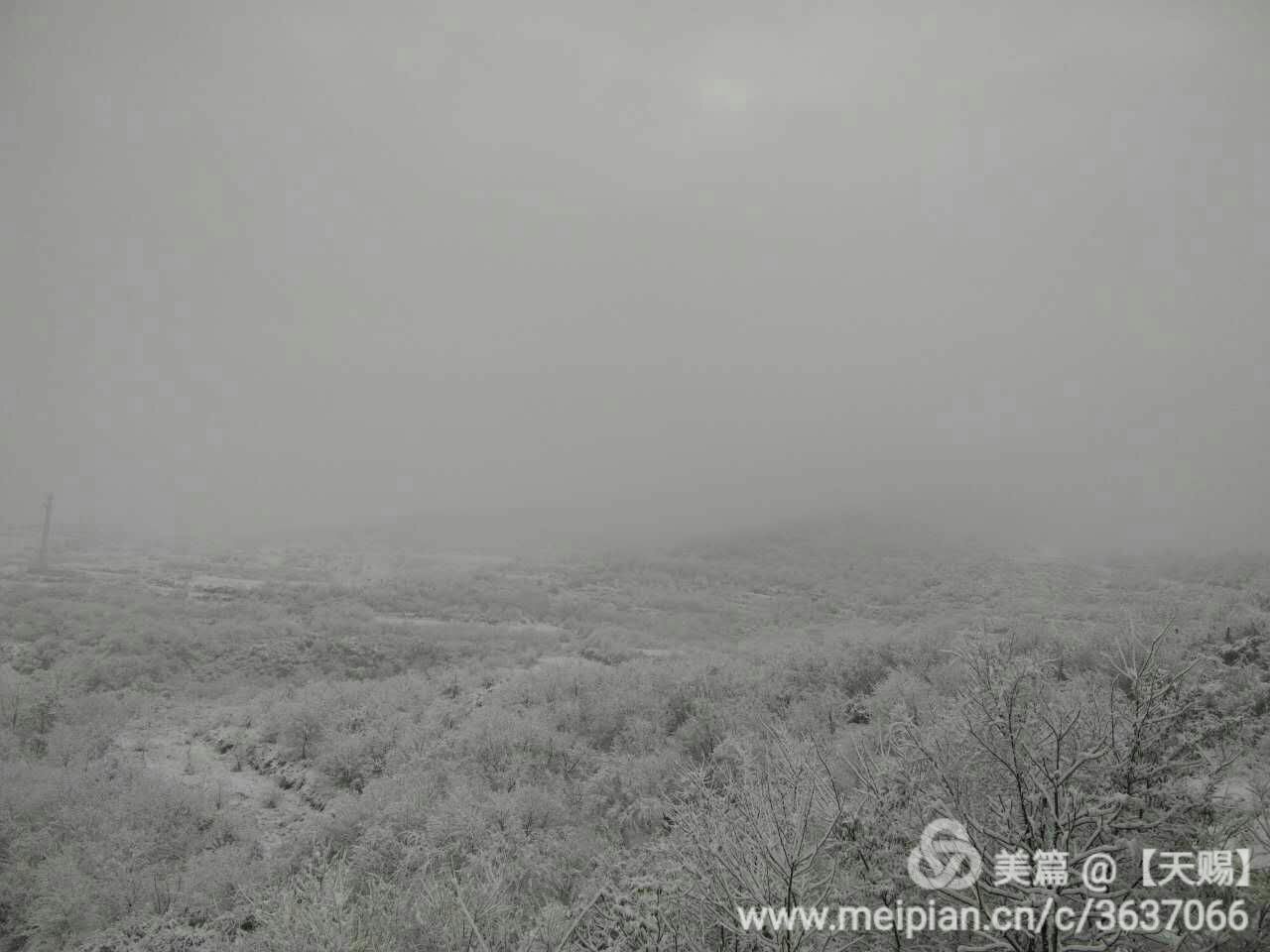 webwxgetmsgimg (18).jpg